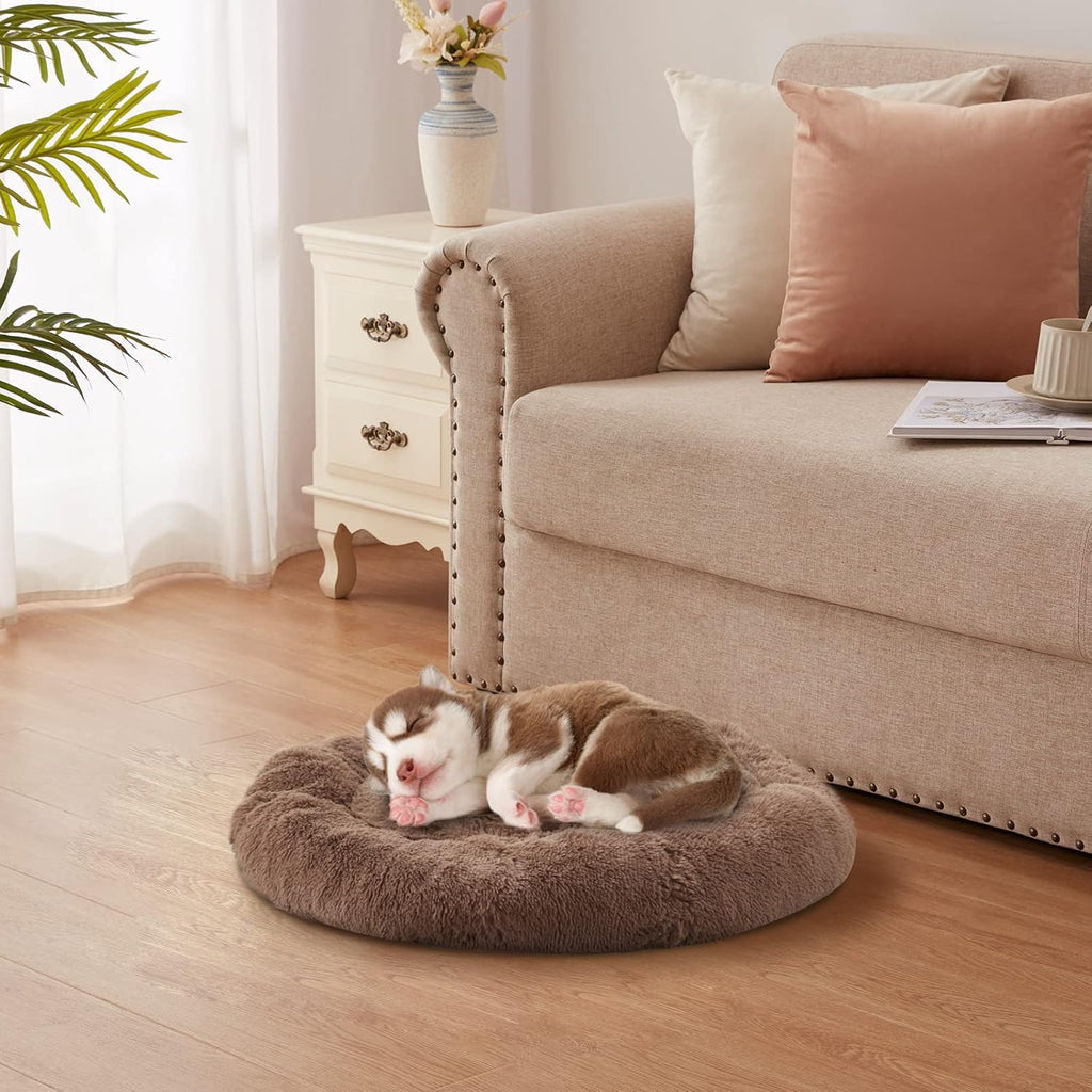 Large Dog Bed Pack of 2 R3541