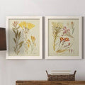 Antique Botanical Sketch Framed Print A7208