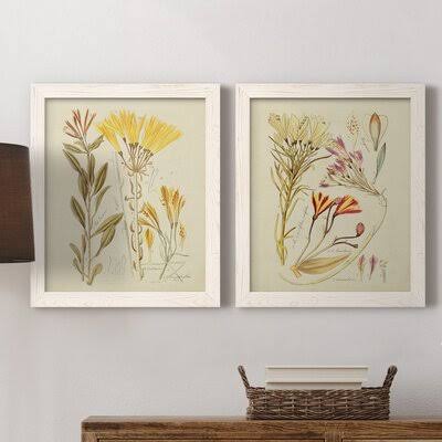 Antique Botanical Sketch Framed Print A7208