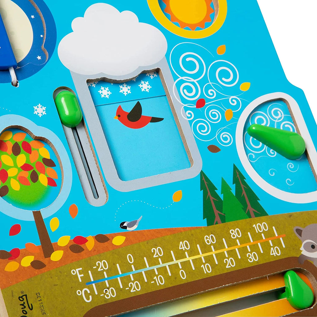 Weather/Seasons Board Y26967