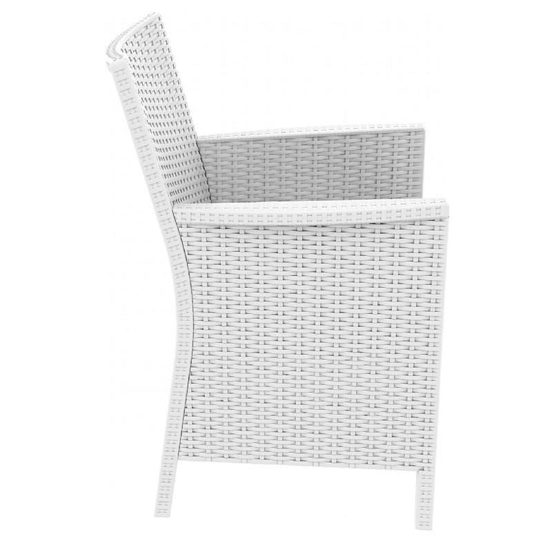 Beige Resin Wicker Chair Set of 2 L953
