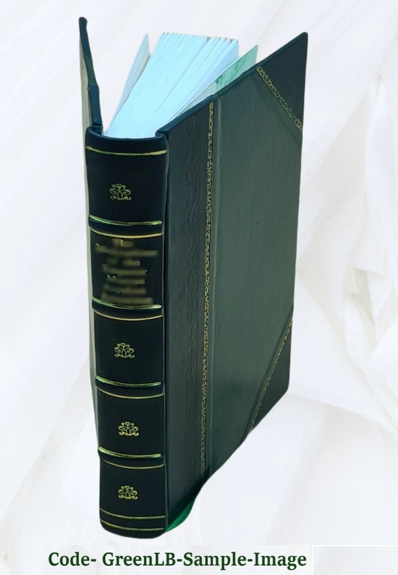 Leather Bound Book T501