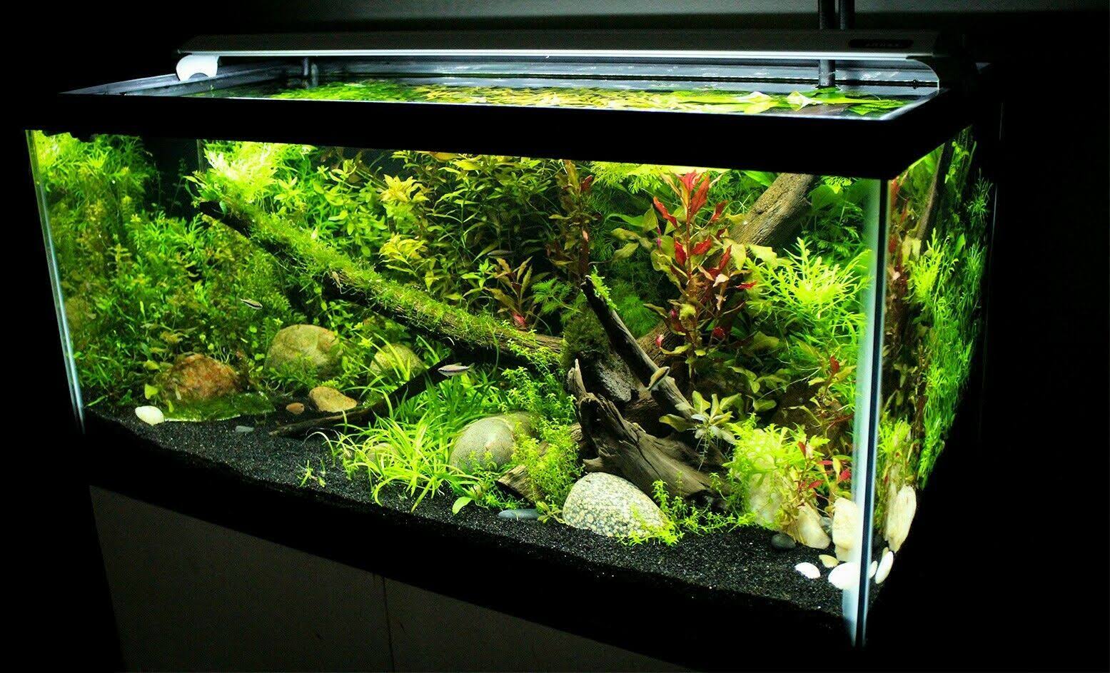 Aquarium LED Light S193406
