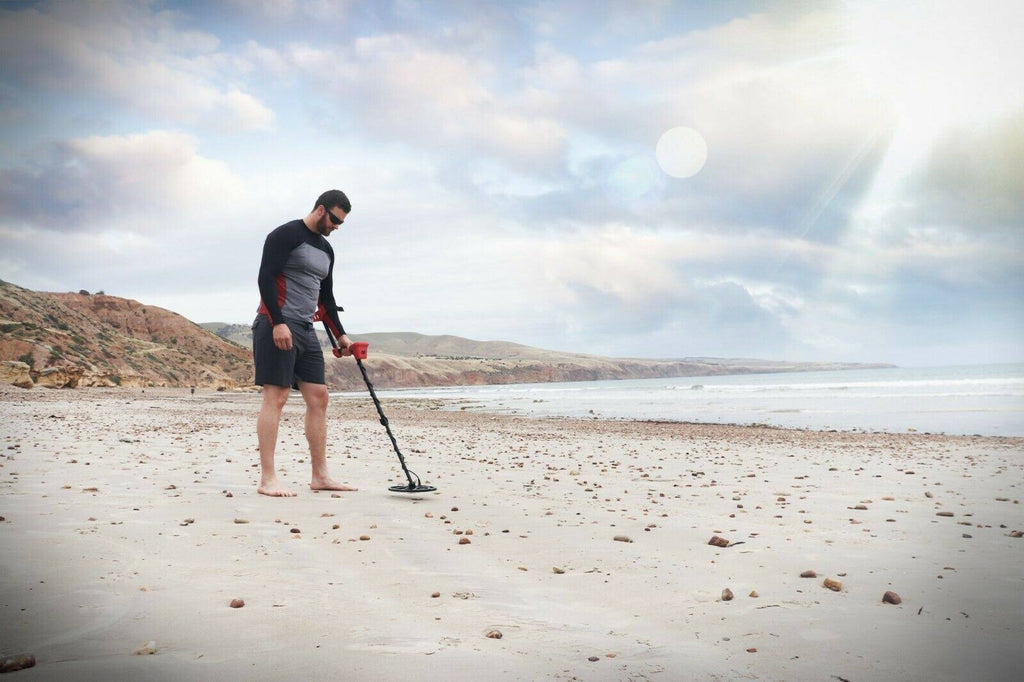 Metal Detector L19146