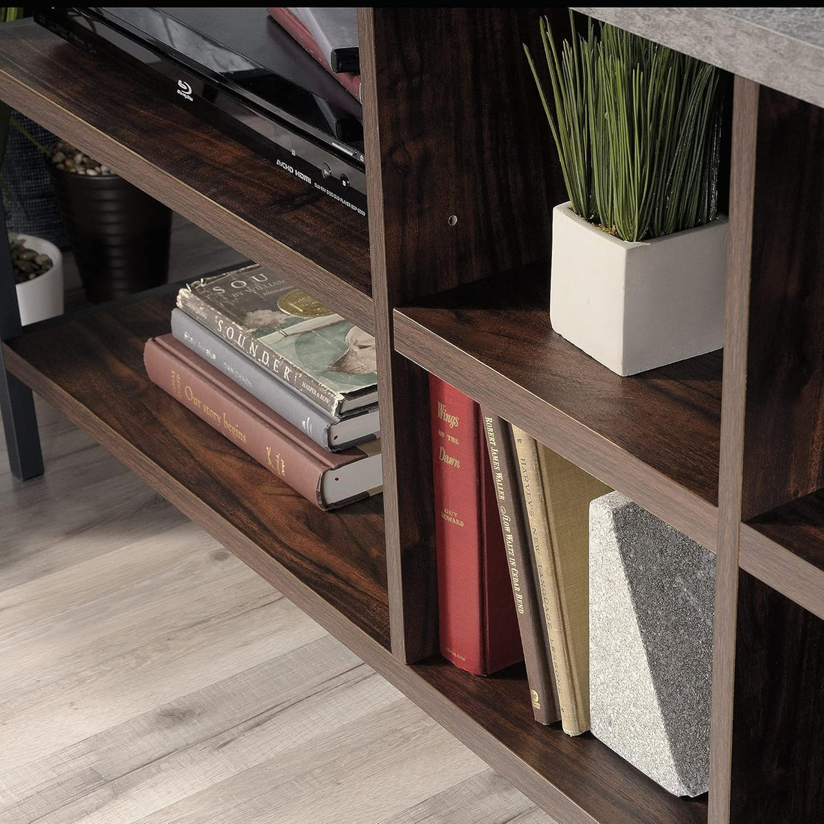 Rich Walnut Finish Credenza N29999