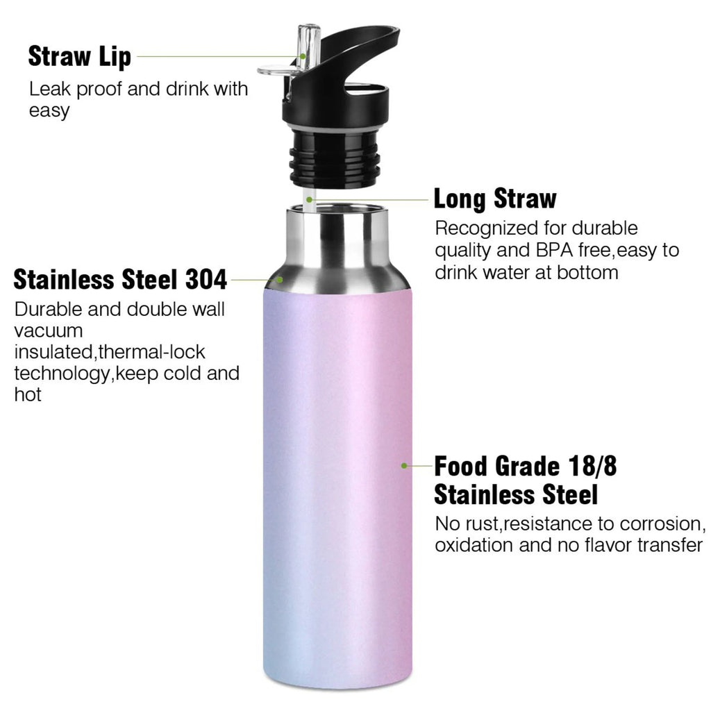 Stainless Steel Vacuum Insulated Water Bottle with Straw Lid 20 OZ V669