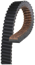 CVT Belt U895576