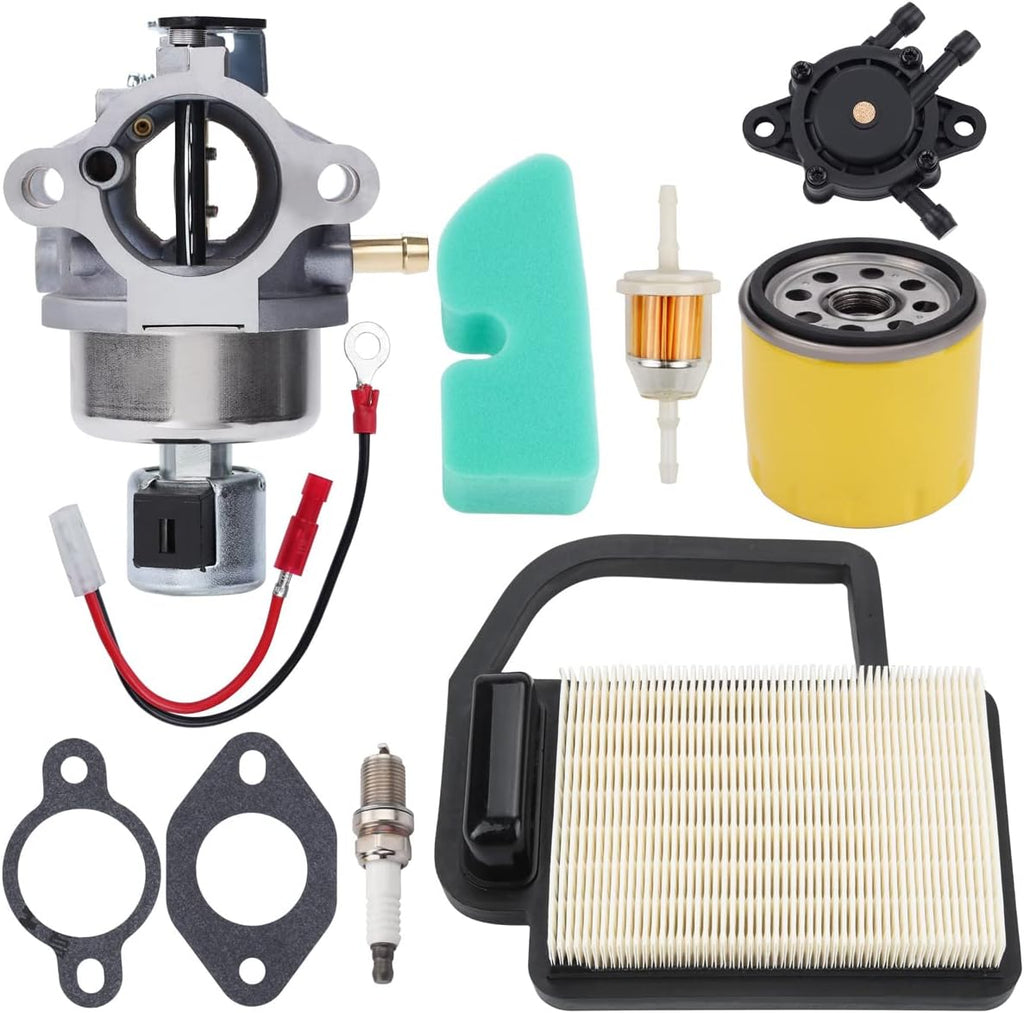 Carburetor Tune Up Kit Pack of 2 F9491