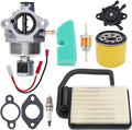 Carburetor Tune Up Kit Pack of 2 F9491