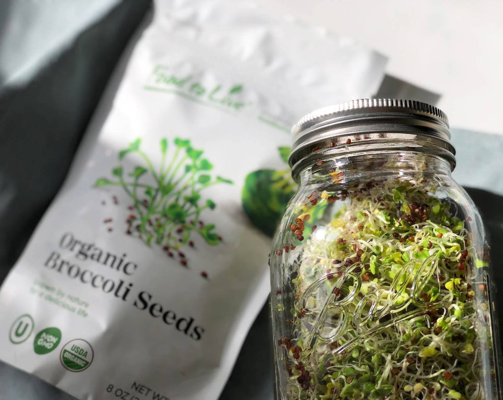 Organic Broccoli Seeds for Sprouting (8 Pounds) C7227