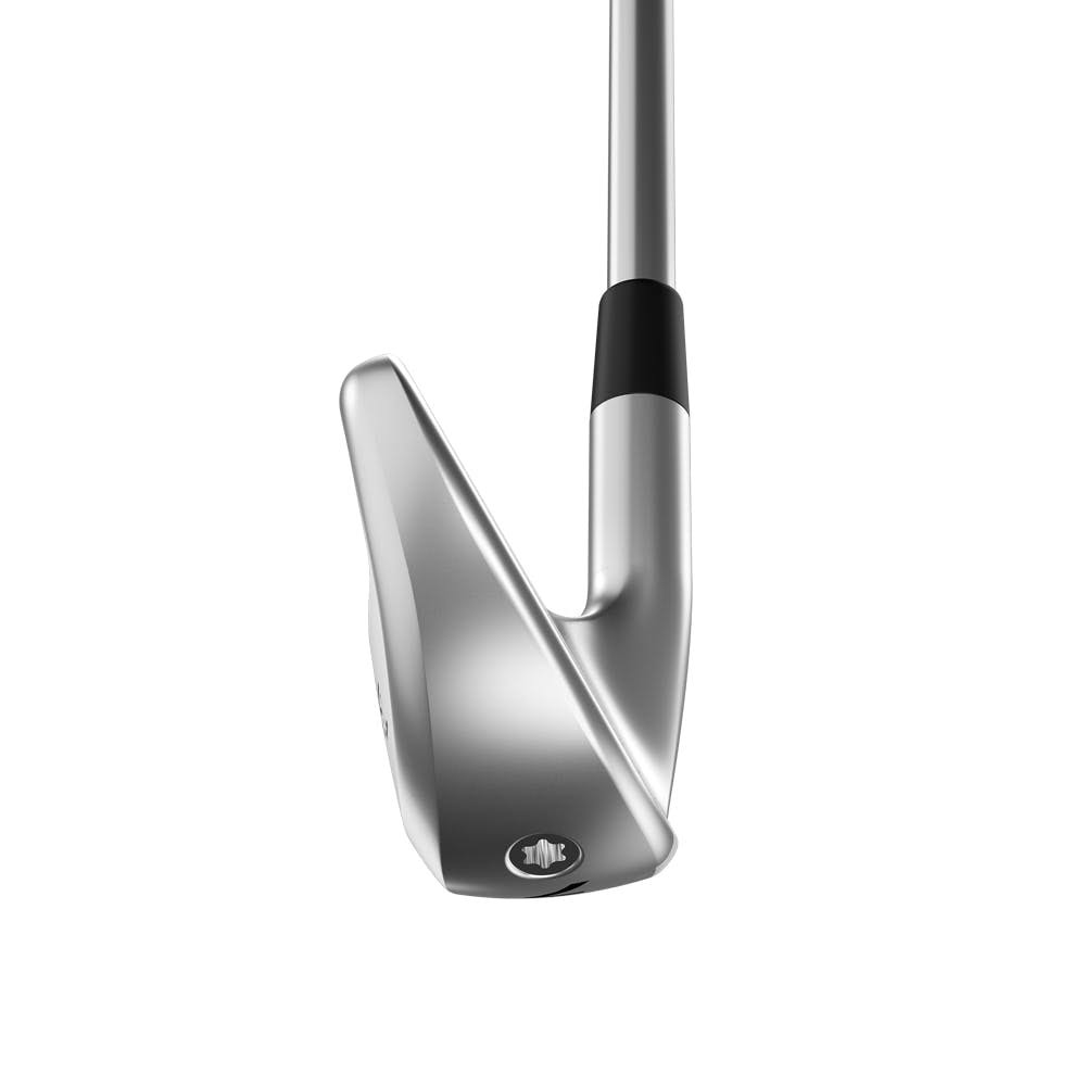Single Iron RH SW Graphite S72231