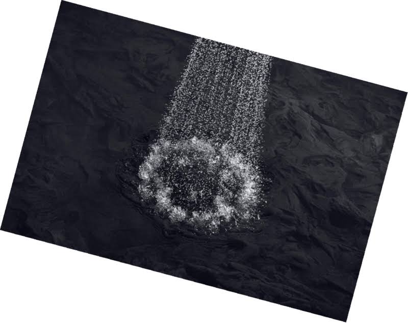 Polished Chrome Multifunction Showerhead M509
