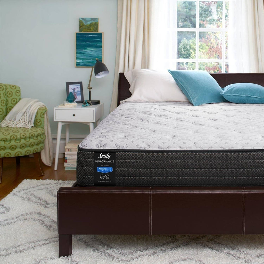 Plush Euro Top Mattress Set - Twin F4235