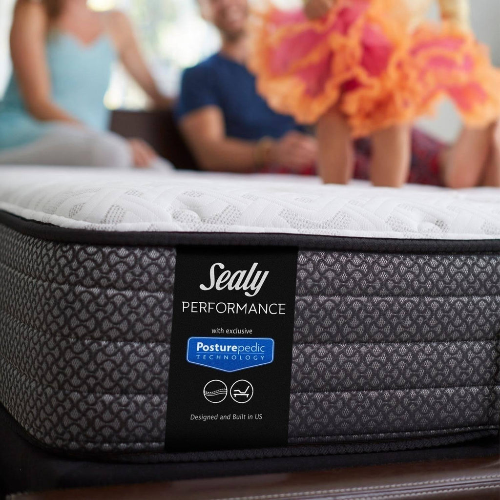 Plush Euro Top Mattress Set - Twin F4235