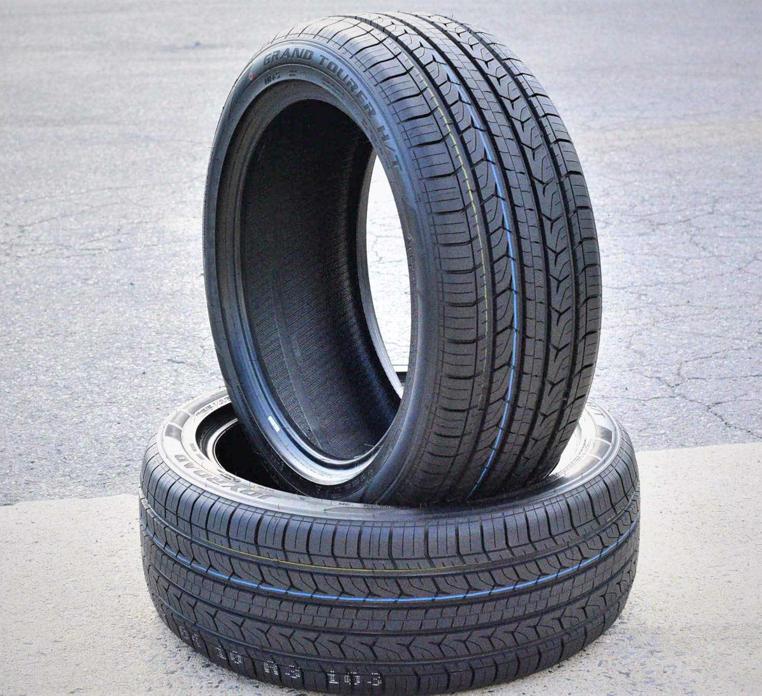 Set of 2 All-Season Performance Radial Tires 255/45R19 100V BSW D927