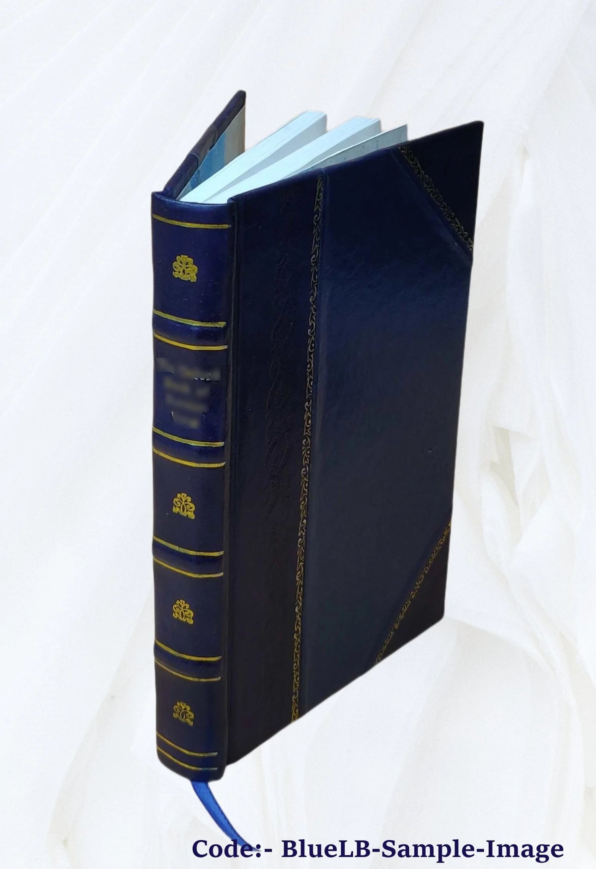 Leather Bound Book H471