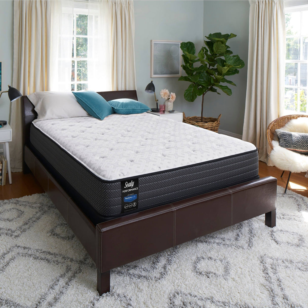 Plush Euro Top Mattress Set - Twin F4235