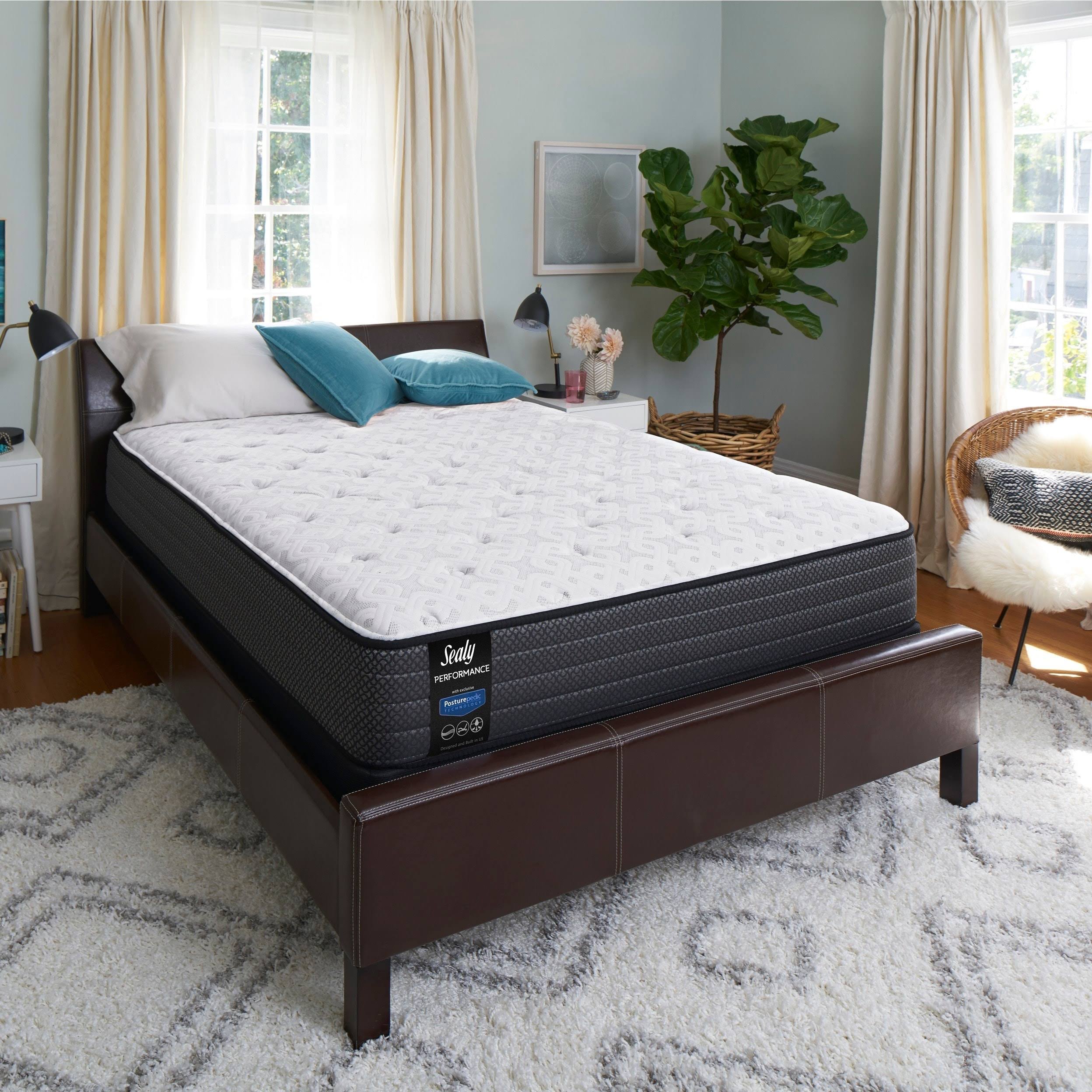 Plush Euro Top Mattress Set - Twin F4235