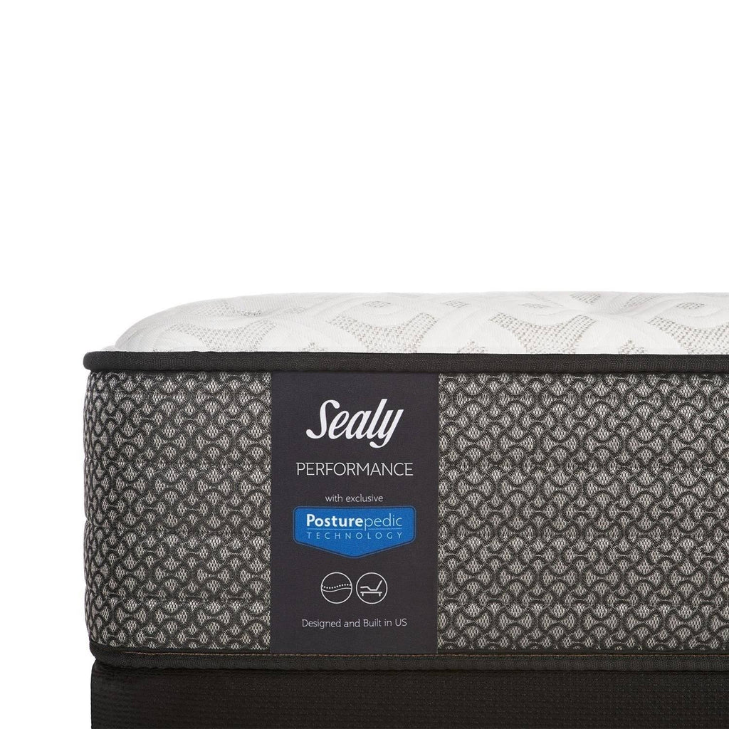 Plush Euro Top Mattress Set - Twin F4235