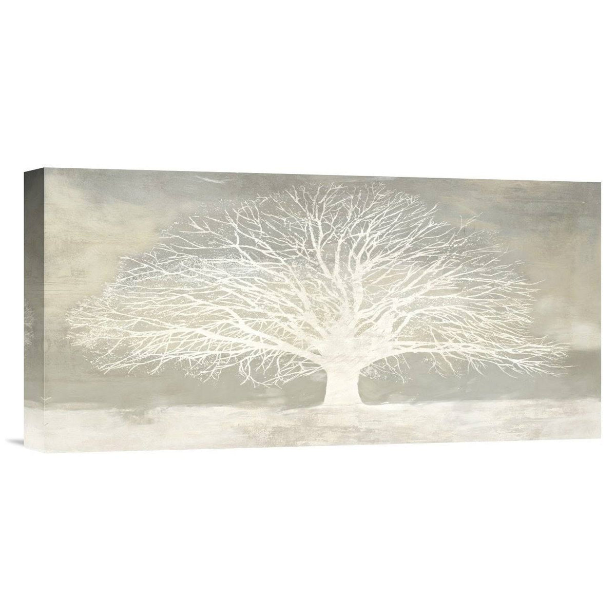 White Tree Stretched Canvas Artwork 18x22H x 36x22W Y542