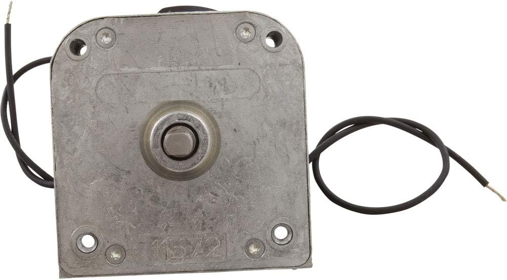 Motor and Gear Assembly 120V F9793