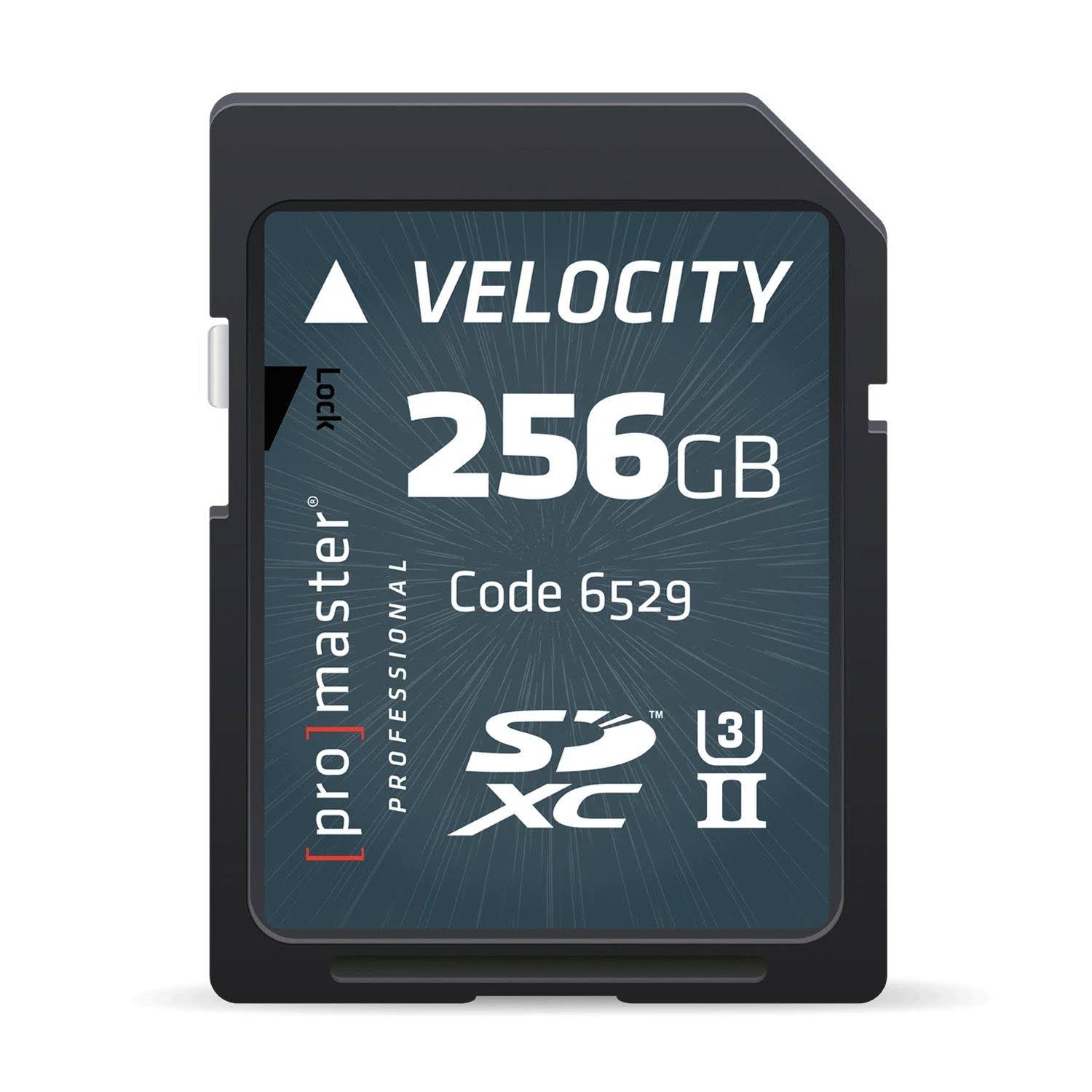 256GB SDXC G42098