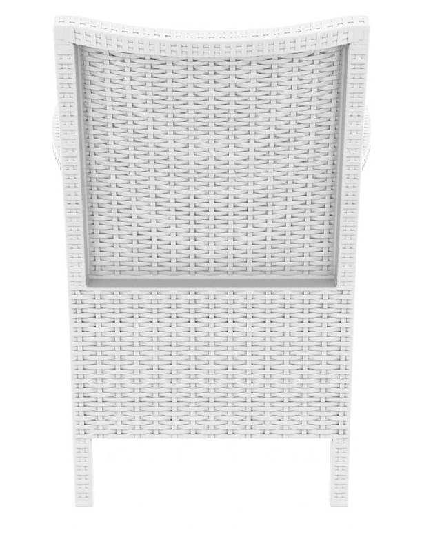 Beige Resin Wicker Chair Set of 2 L953
