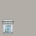 Interior Paint (5-Gallon) H461013
