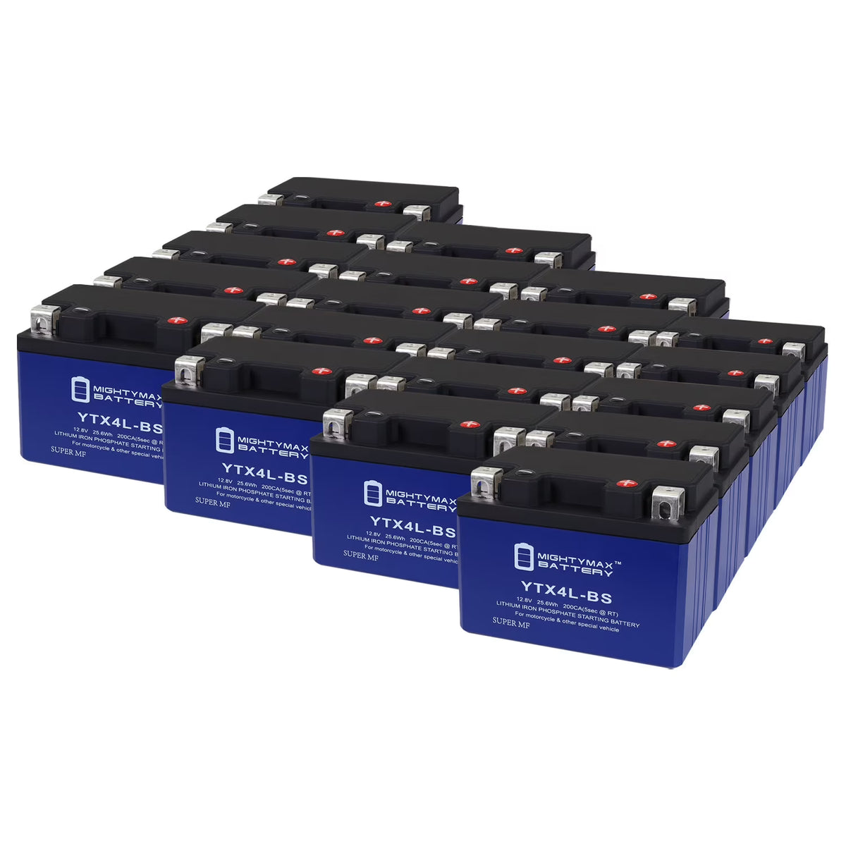 20 Pack Lithium Replacement Battery A983582