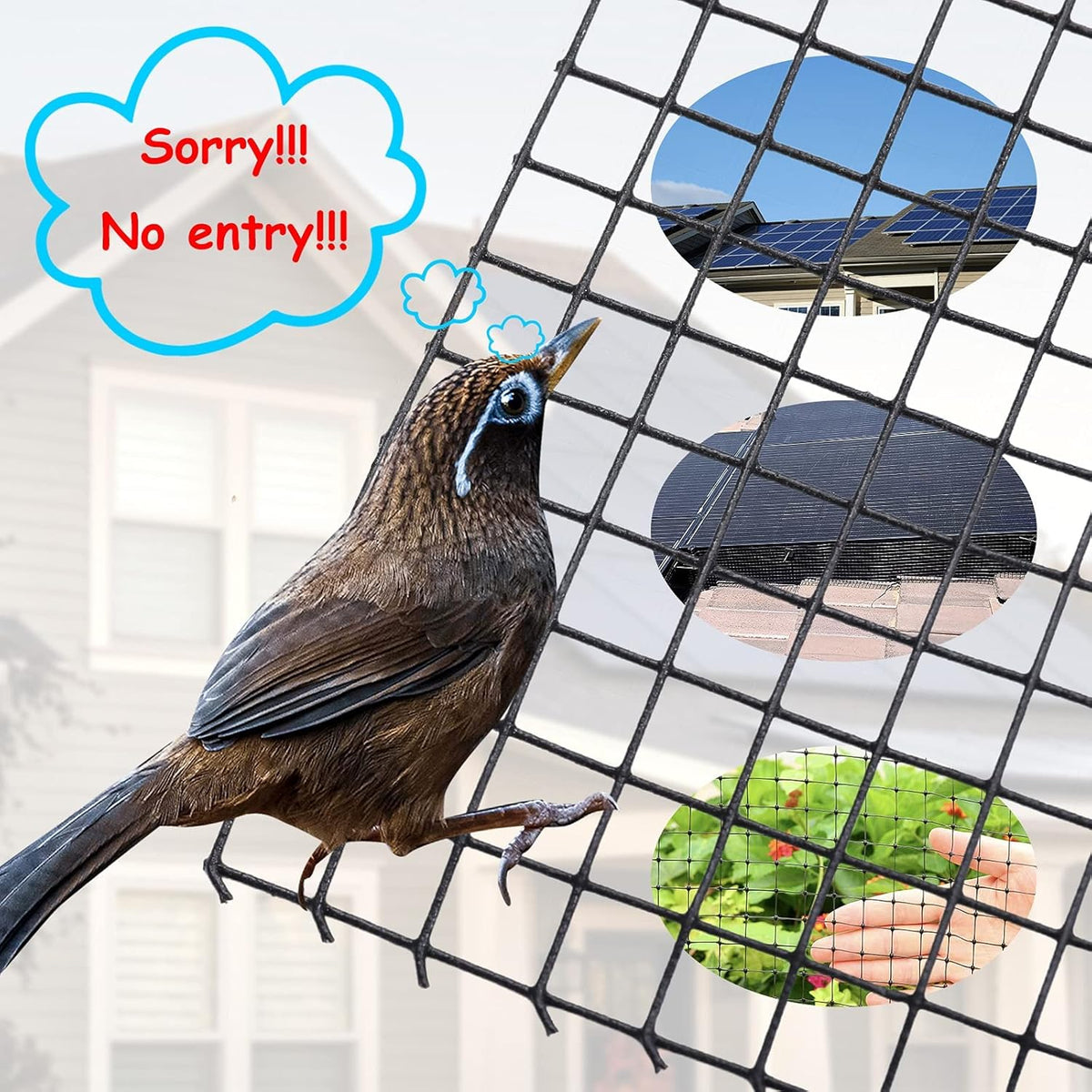 Solar Panel Bird Guard 6in X 100ft PVC Coated Galvanized Steel Wire Mesh B14107