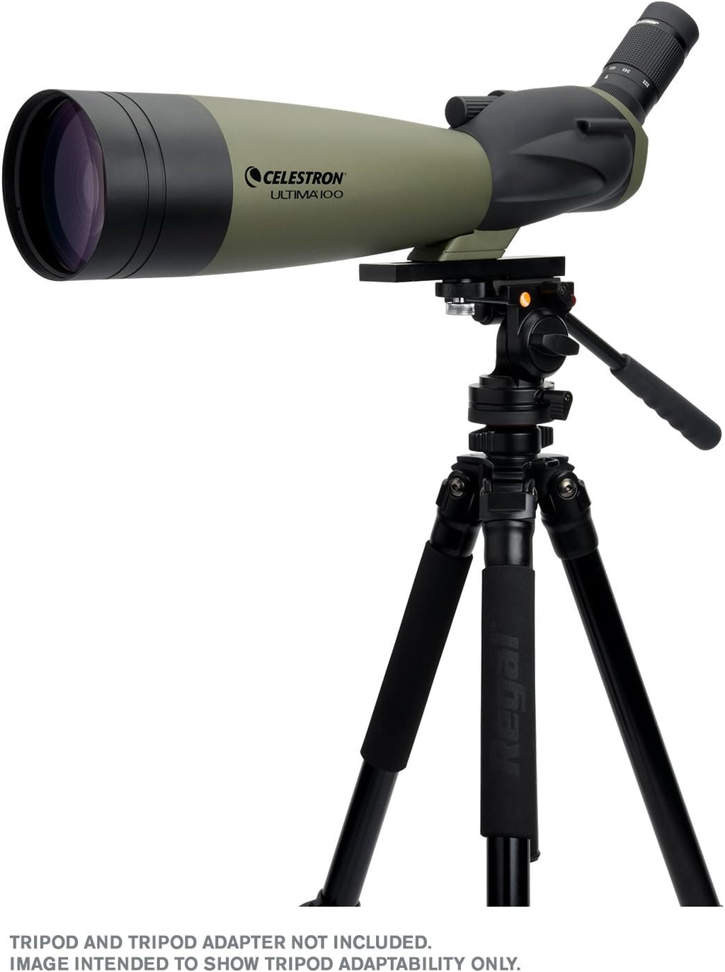 22 to 66x100mm Angled Spotting Scope with Zoom Eyepiece L407004