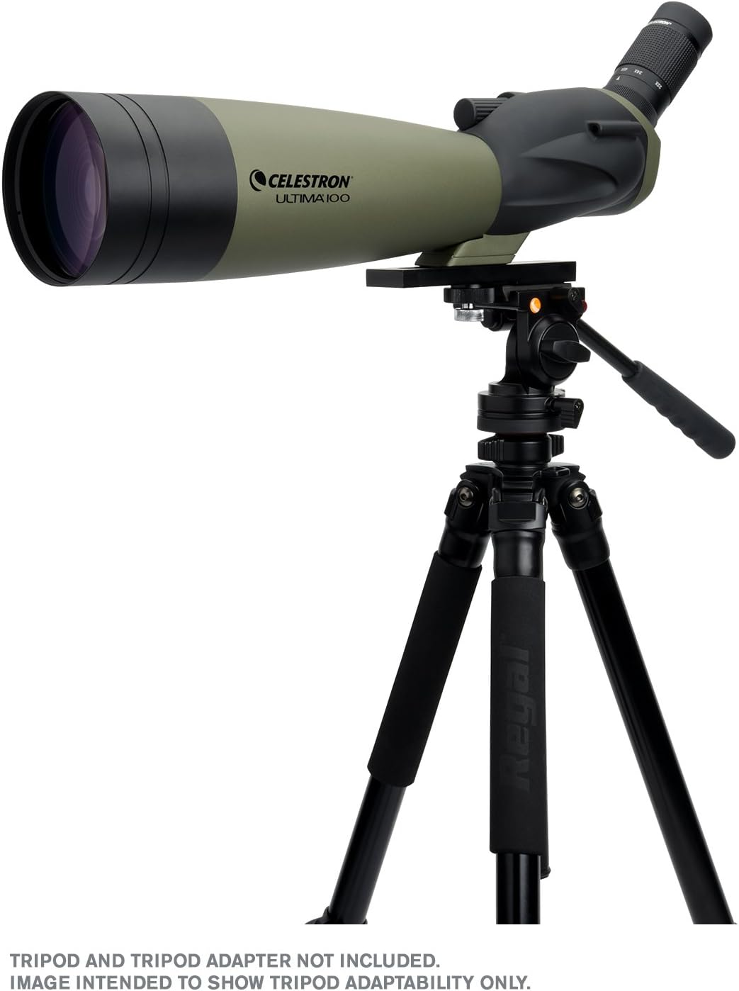 22 to 66x100mm Angled Spotting Scope with Zoom Eyepiece L407004