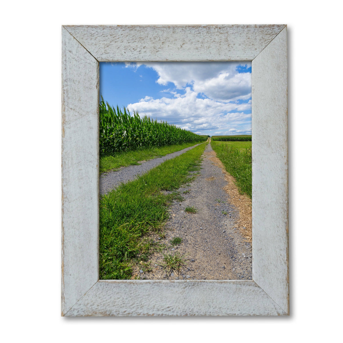 Distressed Whitewashed Frame 10x12 N83270